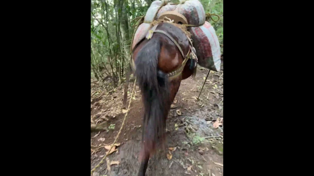 👍🔴LA VIDA EN EL CAMPO