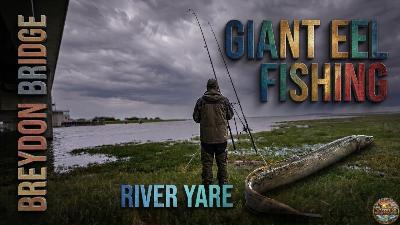 EEL BASHING UNDER THE BRIDGE! 🎣 | River Yare Great Yarmouth | Fishing Behind Asda UK
