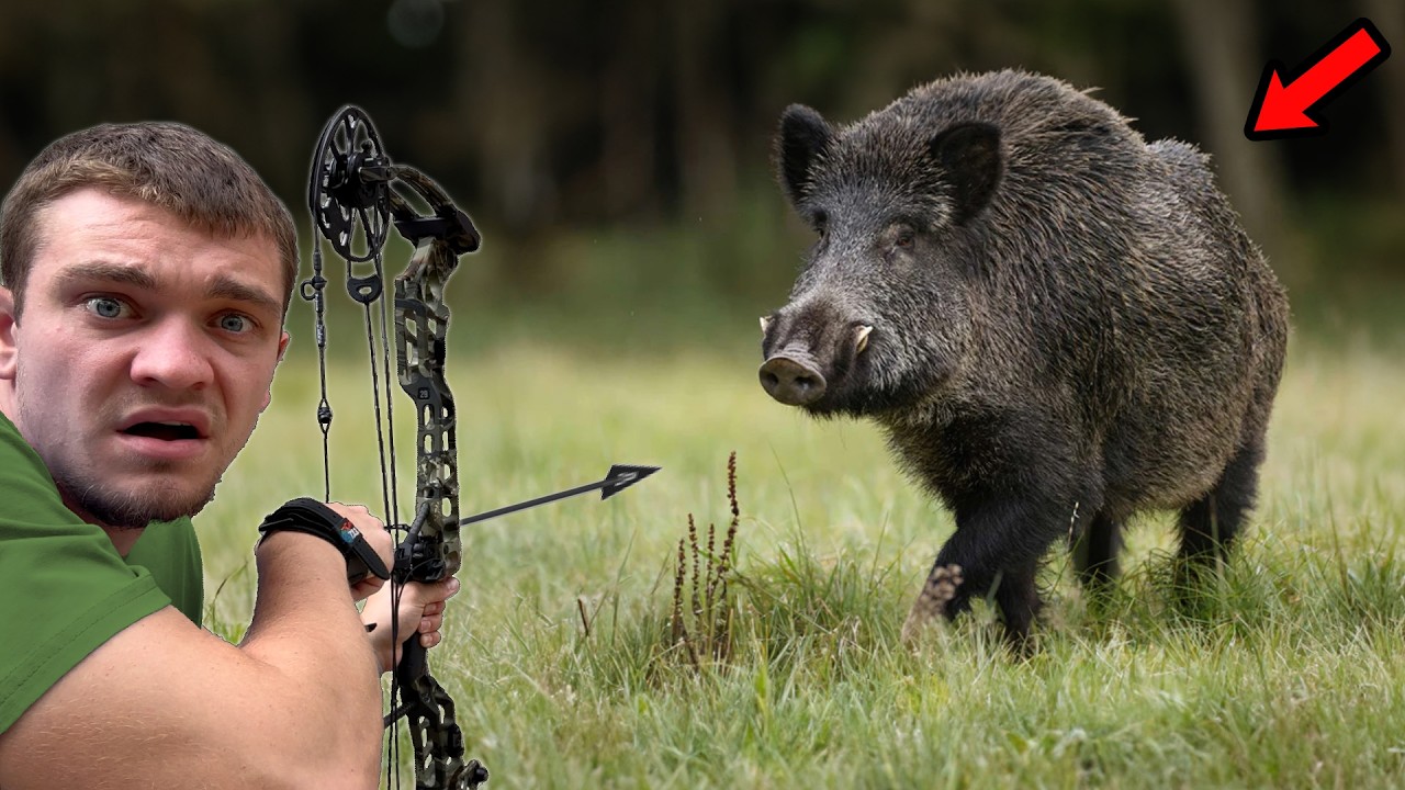 Я охотился на диких кабанов с помощью лука и стрел!