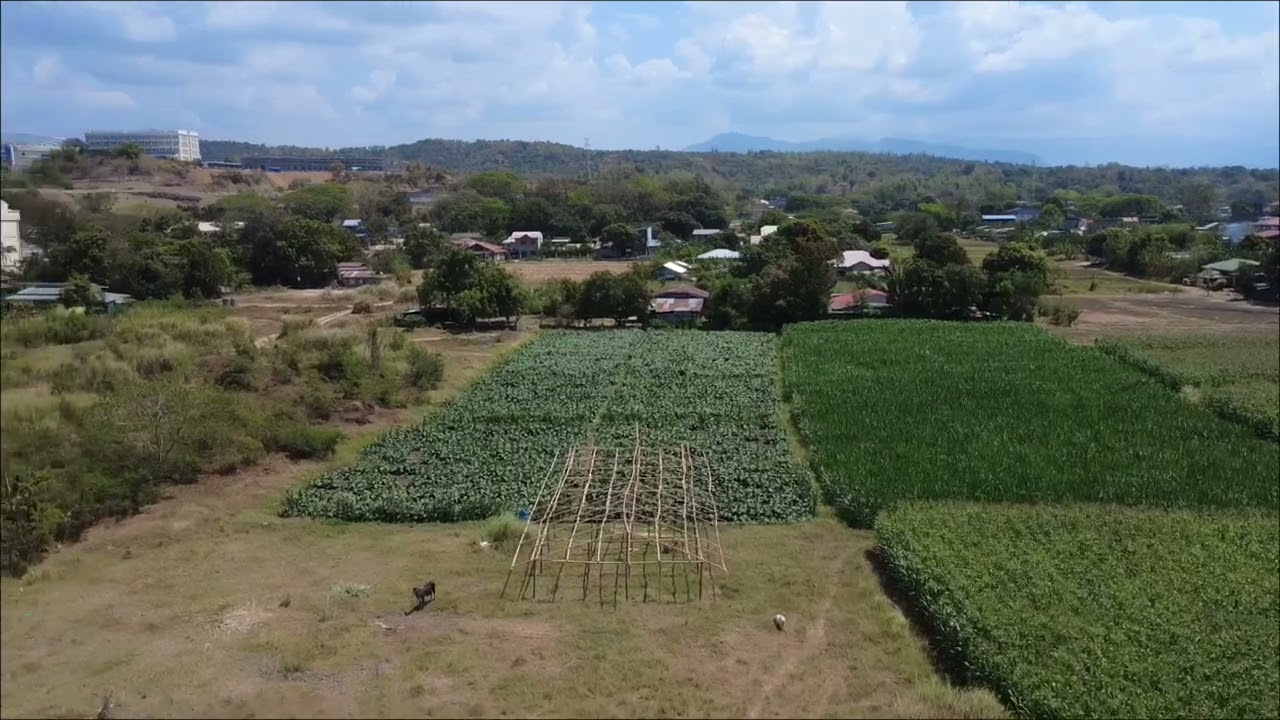 Bagani campo candon ilocos sur air view