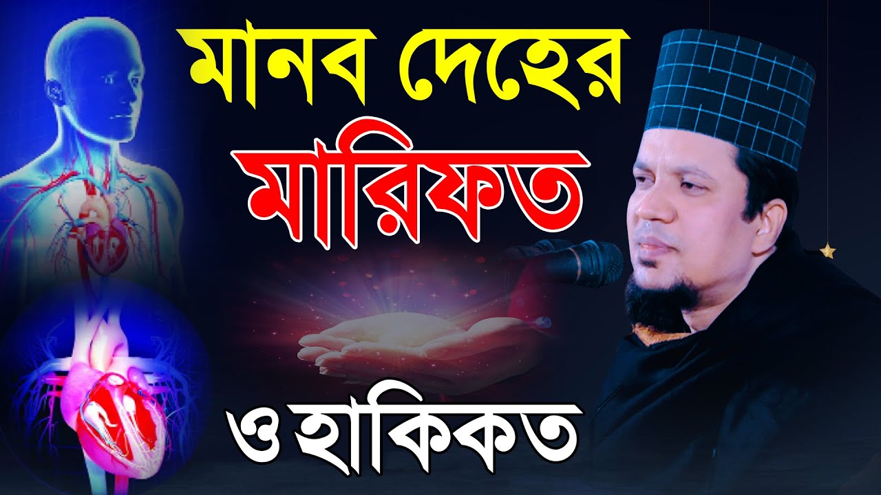 মানব দেহের মারিফত ও হাকিকত | আল্লামা মুহাম্মদ খাজা মাহবুবুর রহমান জগৎপুরী | Mridha Media Waz