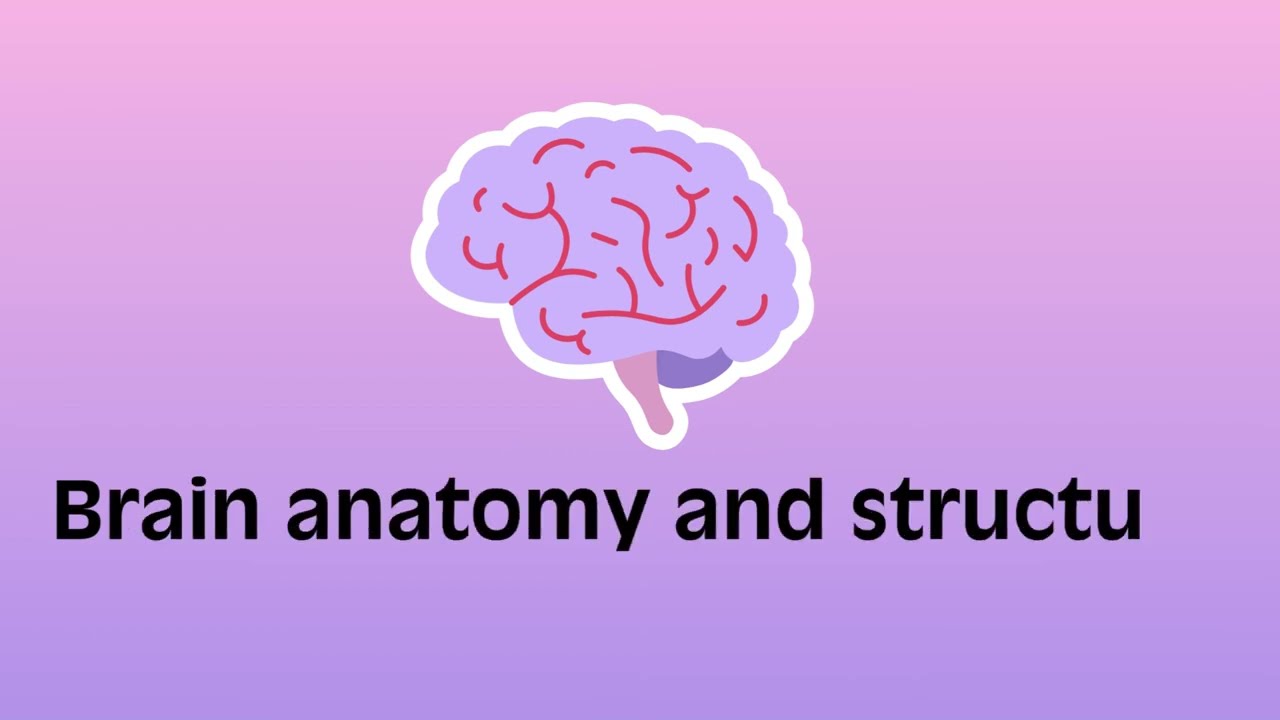 Neurostart Learning Curriculum - Brain Anatomy and Structure (Module 3, Video 1)