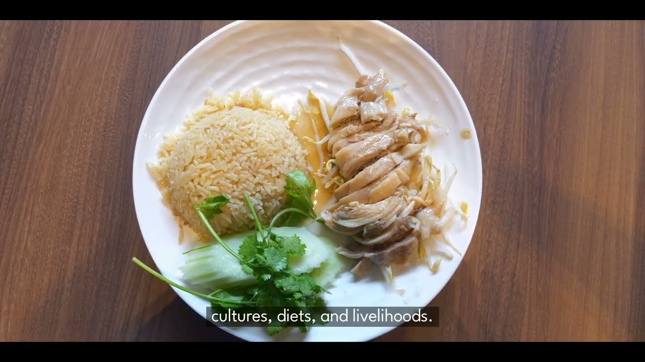 PAS 2025 - Decarbonising Rice