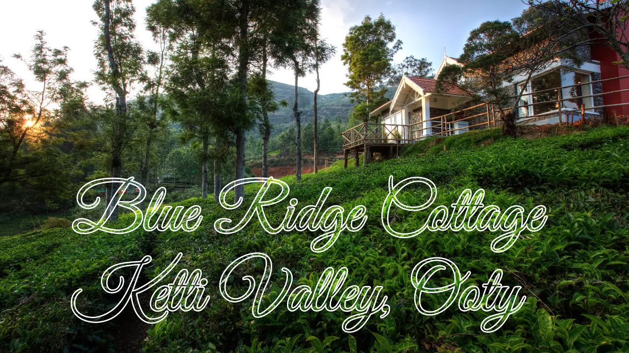 Blue Ridge Cottage | Ketti Valley | Ooty 4K