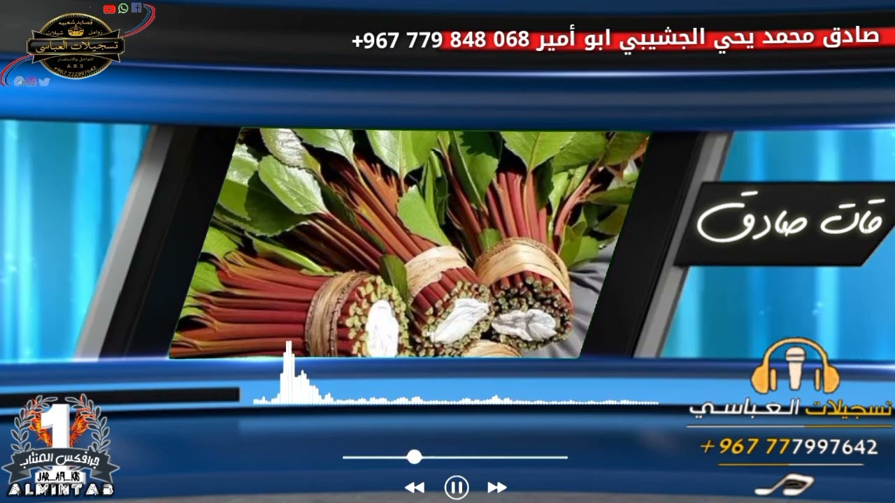 القات طب القلوب الجريحه محمد العباسي قصيده طناخه مني لصديق الغالي ابوامير صادق الجشيبي 777997642