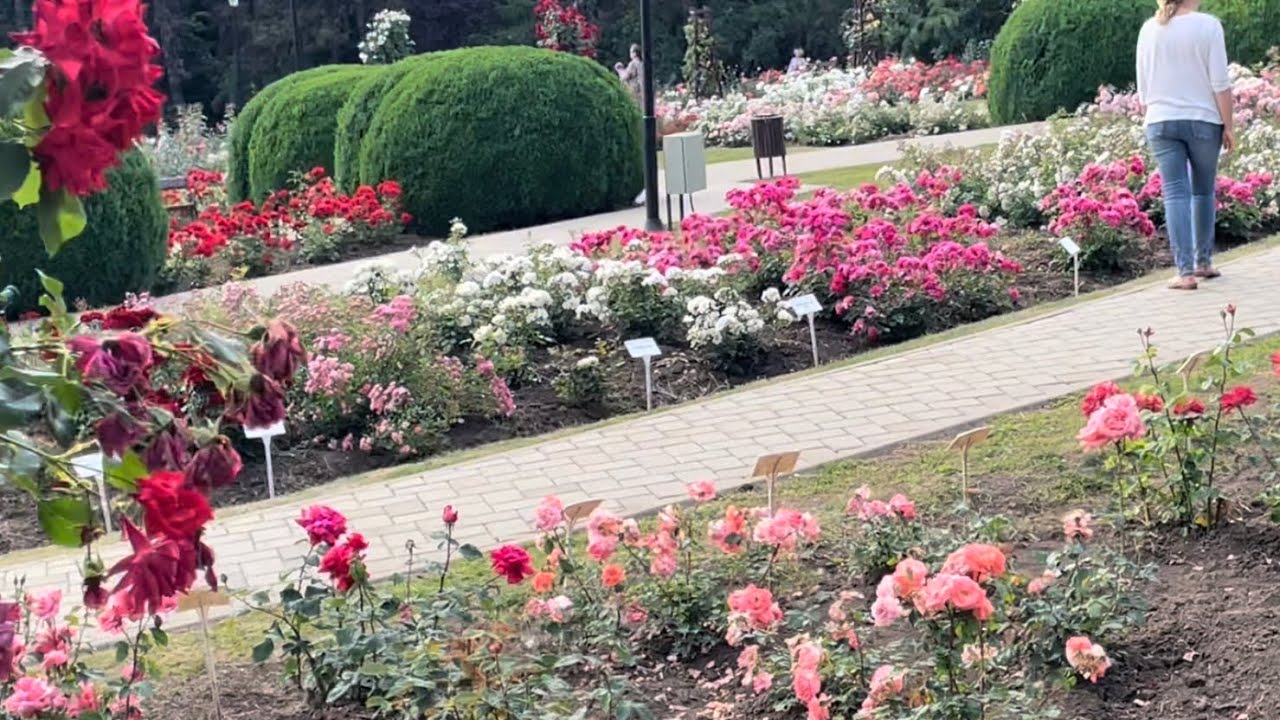 Gradina botanica Iasi ( la sugestia voastra ) !