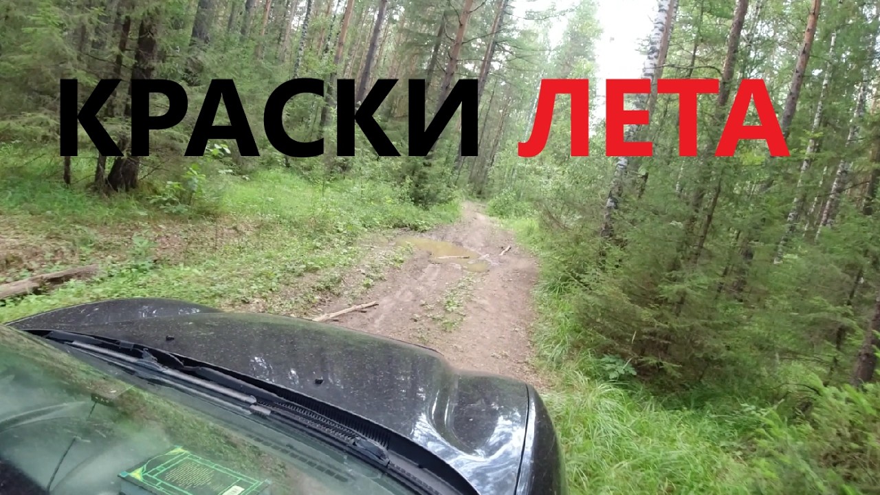 КРАСКИ ЛЕТА.