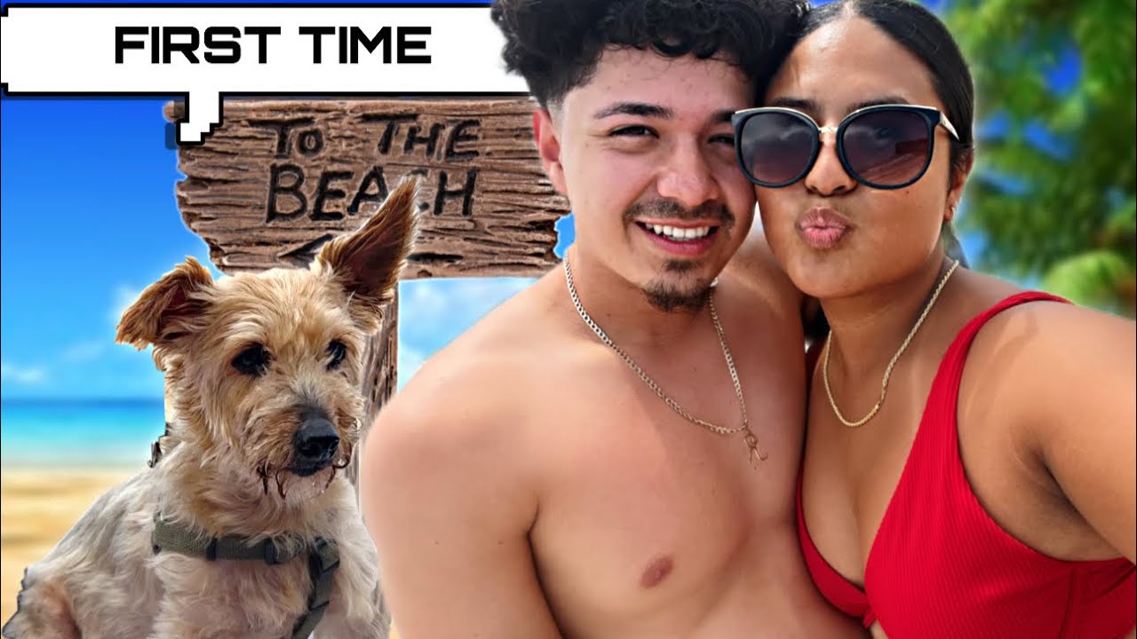 Dog Goes to the Beach for the First Time 🌊🐶 (Hilarious Reactions)