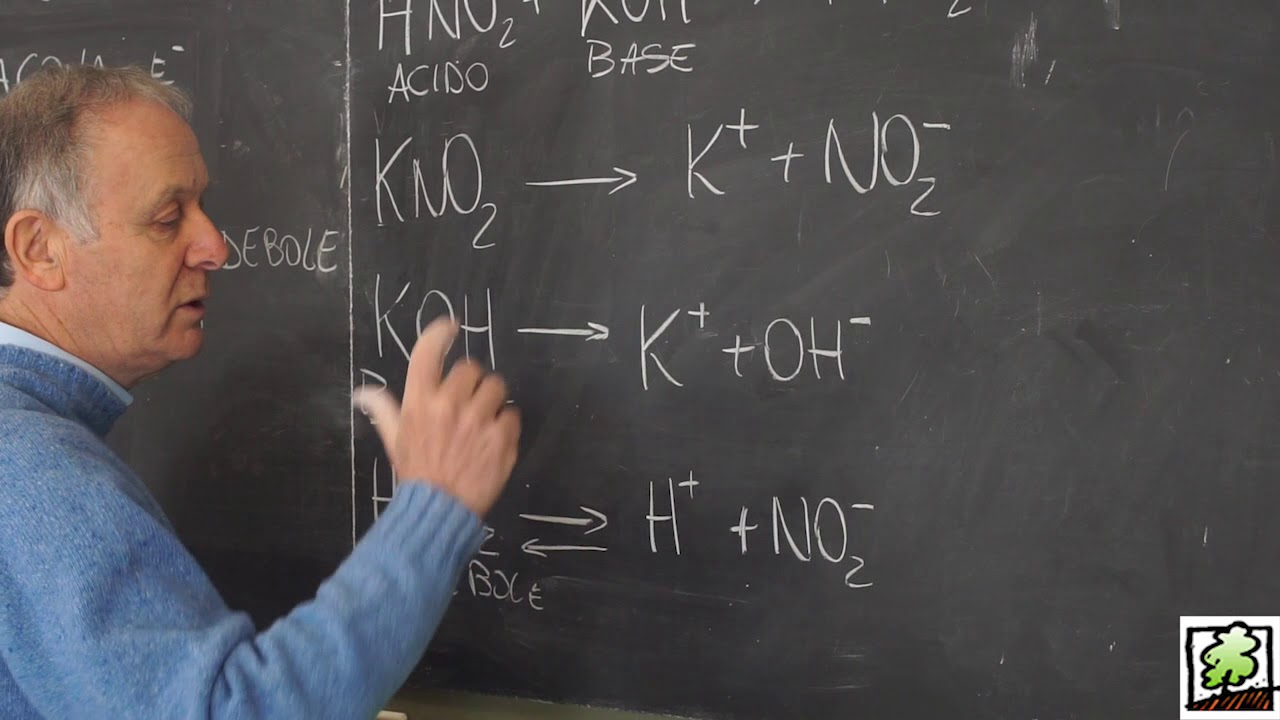 Lezione 9- Idrolisi salina basica (teoria)