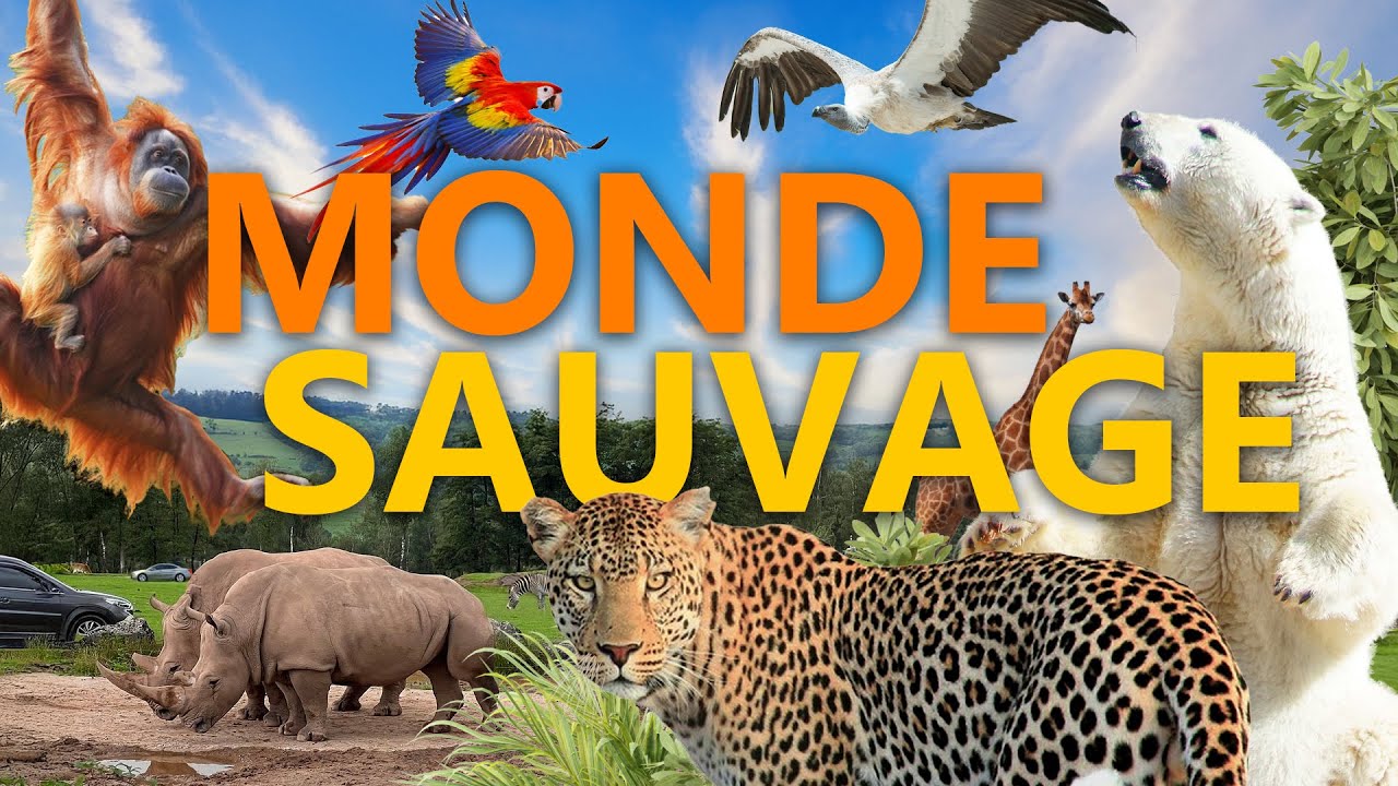 Monde Sauvage - auf Safari in Belgien! | Zoo-Eindruck