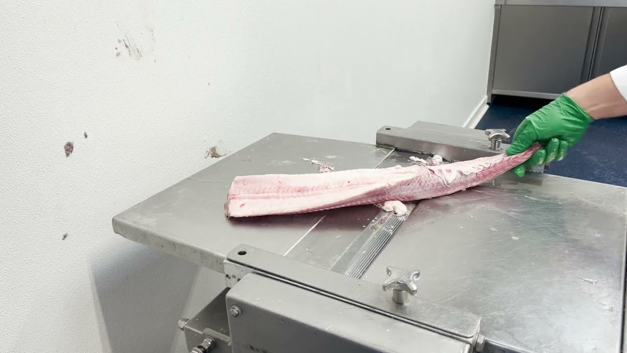 STEEN ST600SV Spurdog - dogfish skinning