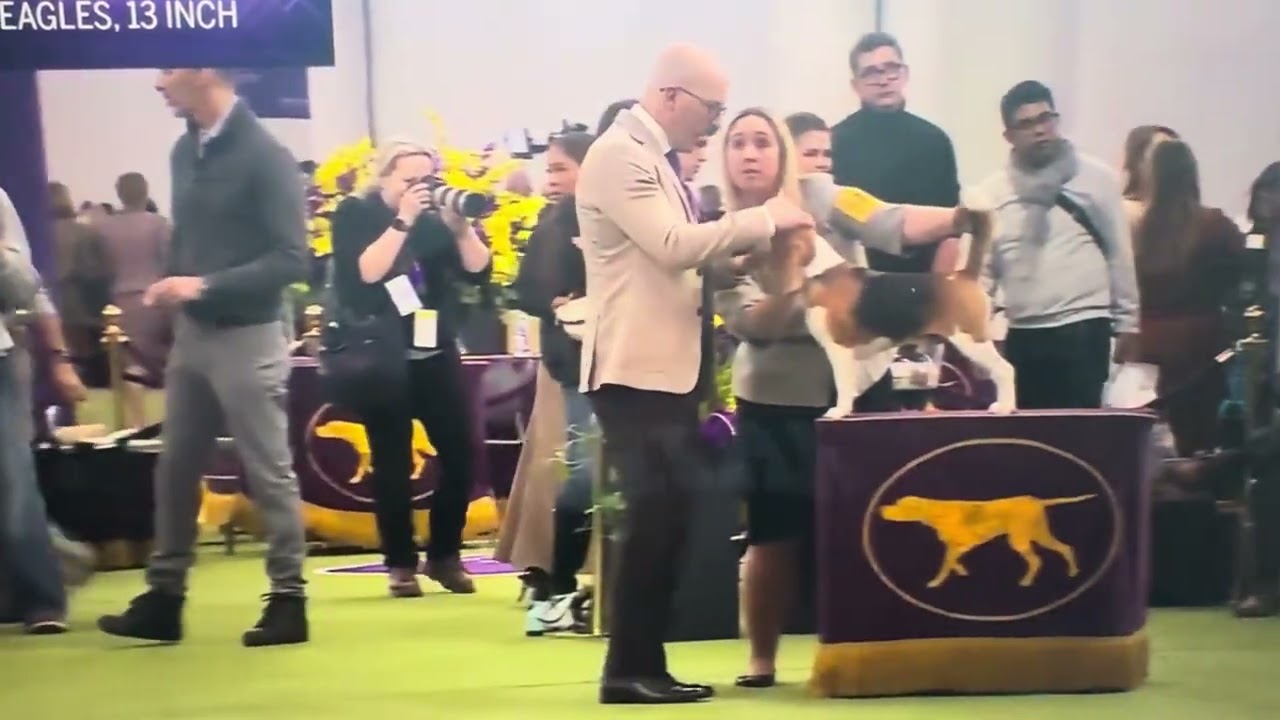 Westminster - 2026 - Select