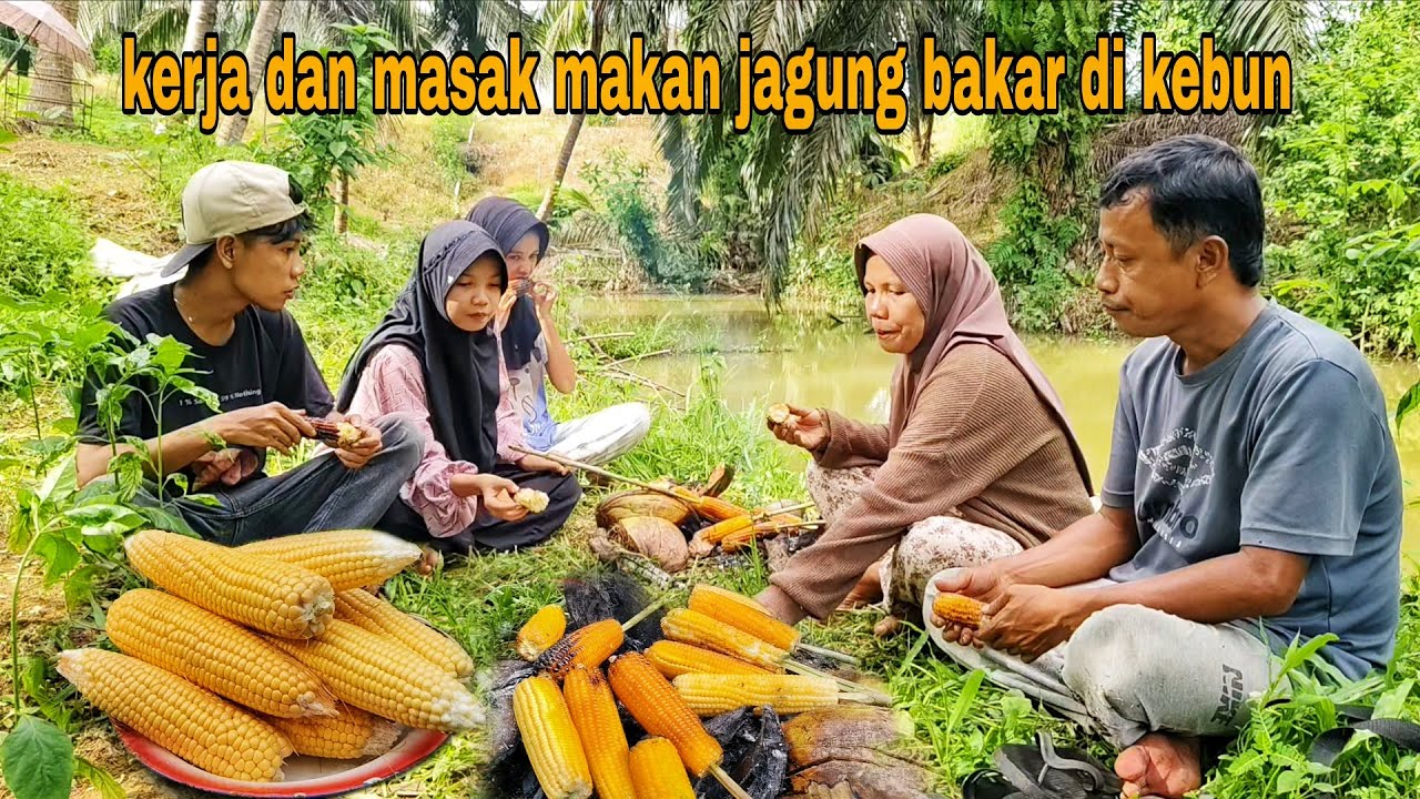 KERJA DAN MASAK MAKAN JAGUNG BAKAR DI KEBUN, SIMPLE FAMILY