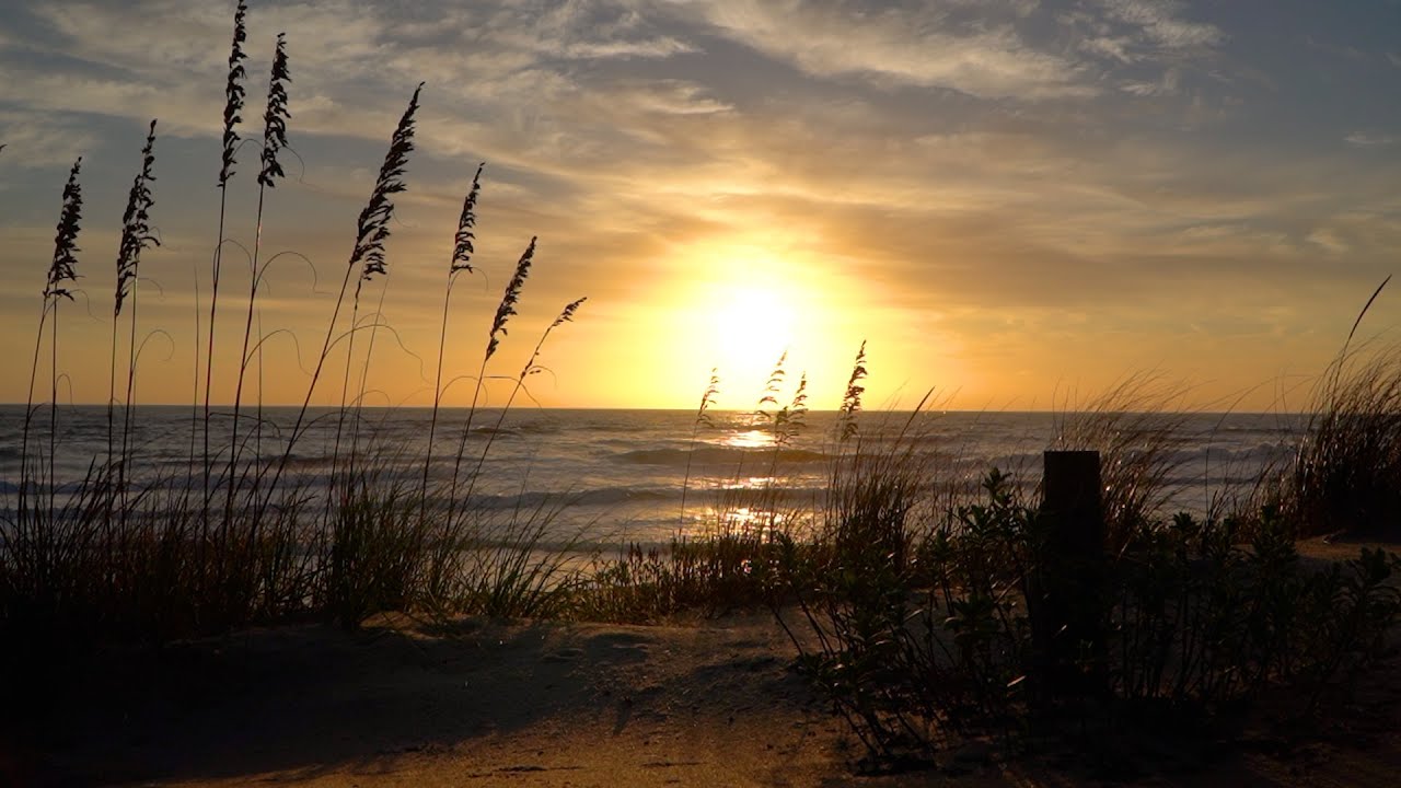 OBX Beach Report - 9/23/24 - Outer Banks This Week