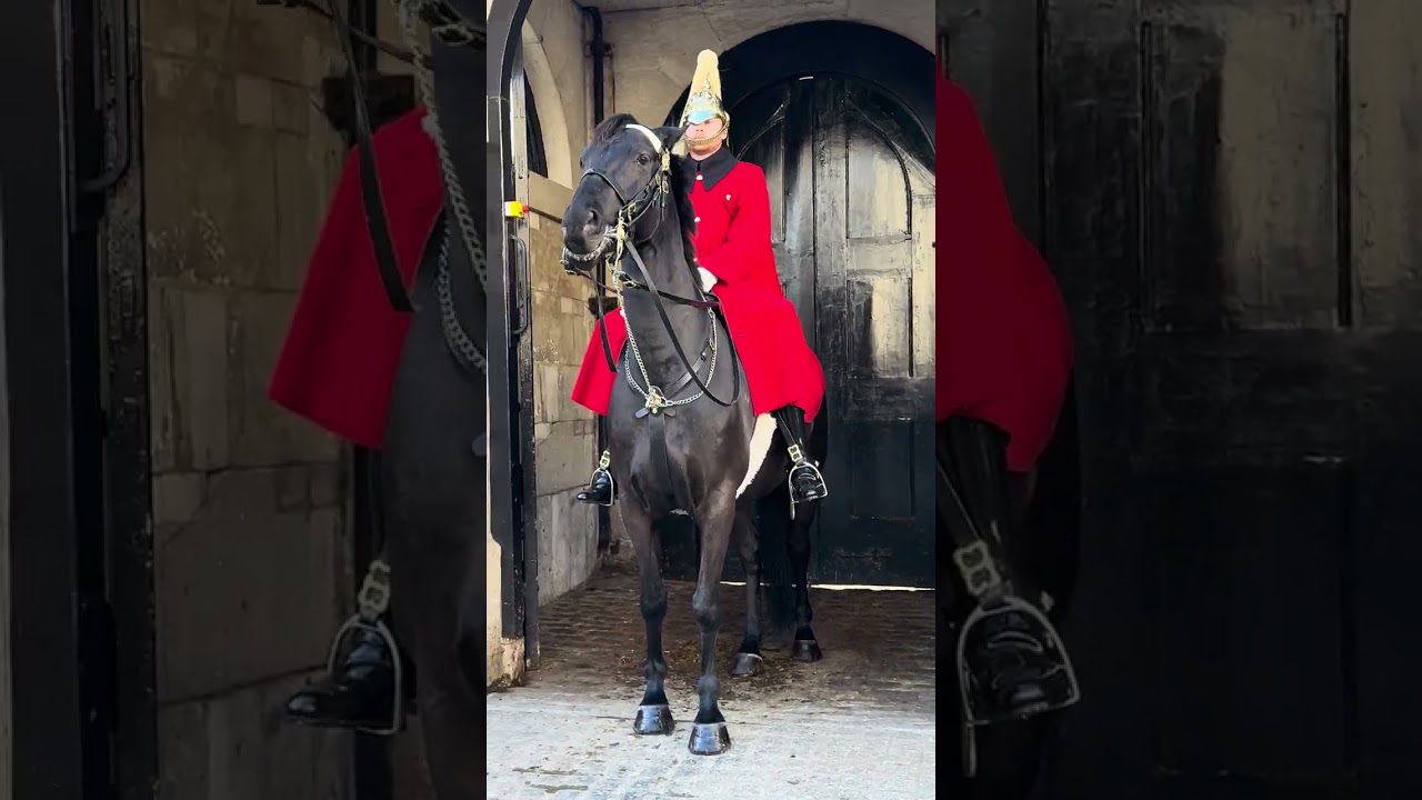 Joy in the Presence of Royal Tradition 