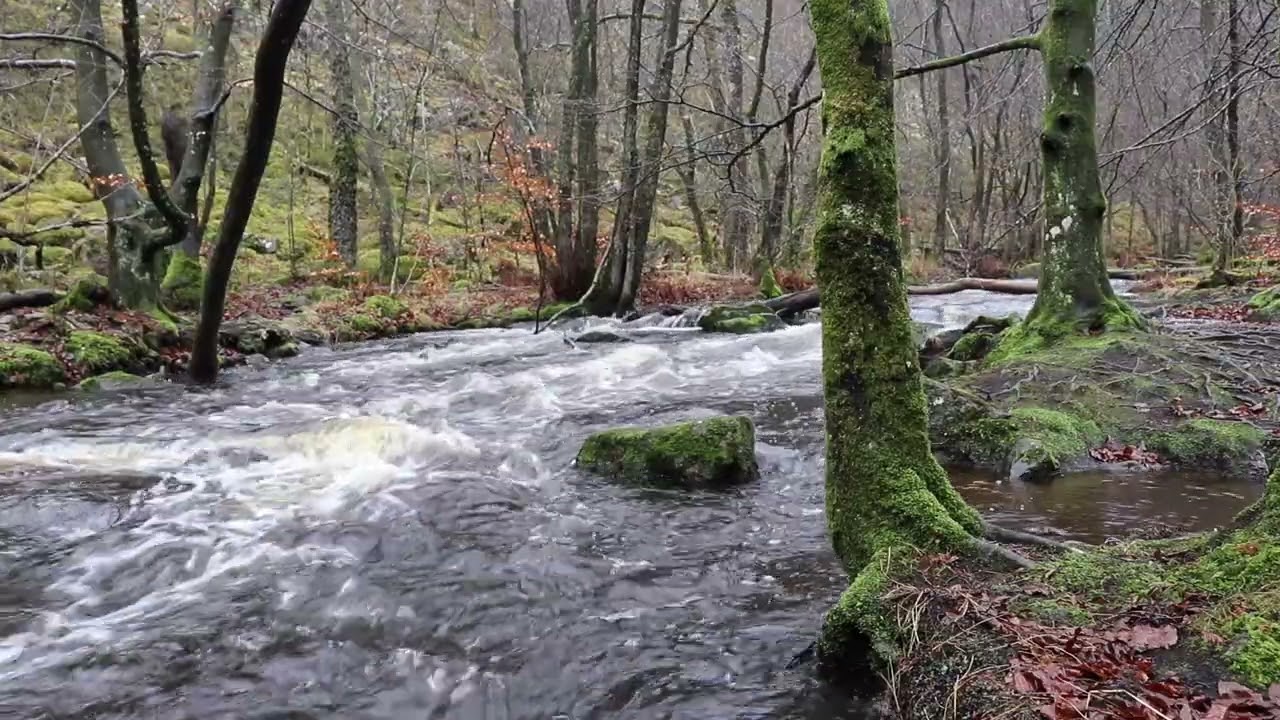 Relaxing Water Sounds  ASMR