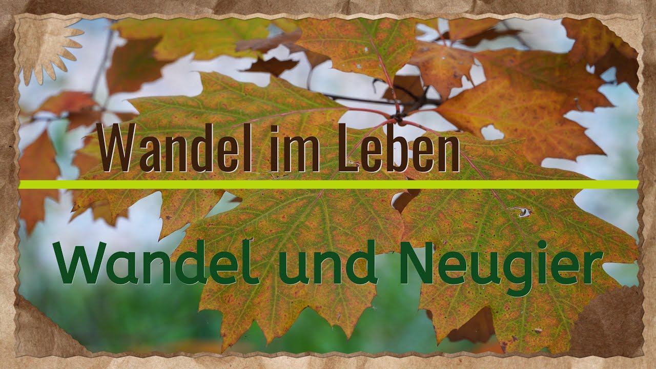 Wandel und Neugier (Wanderung zum Großen Picho vom 19.+20.10.2024)