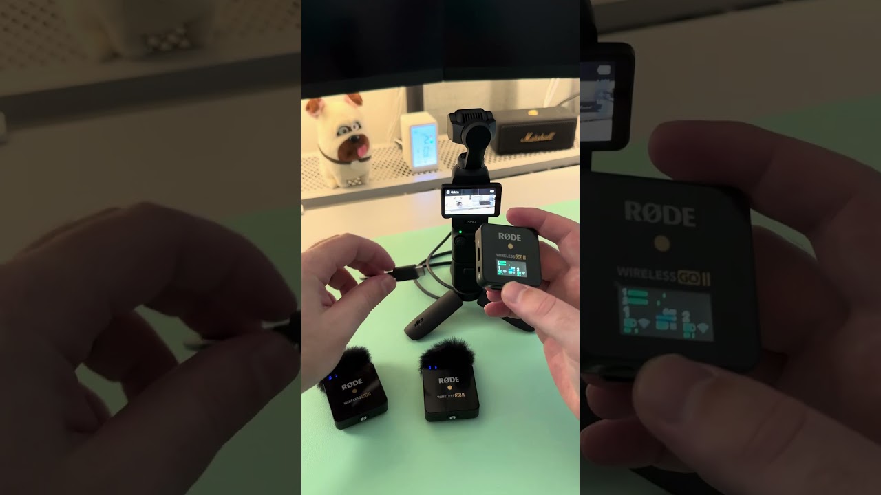 DJI Pocket 3 with Rode Wireless GO 2 #djipocket3 #rode #rodemic #rodewirelessgo