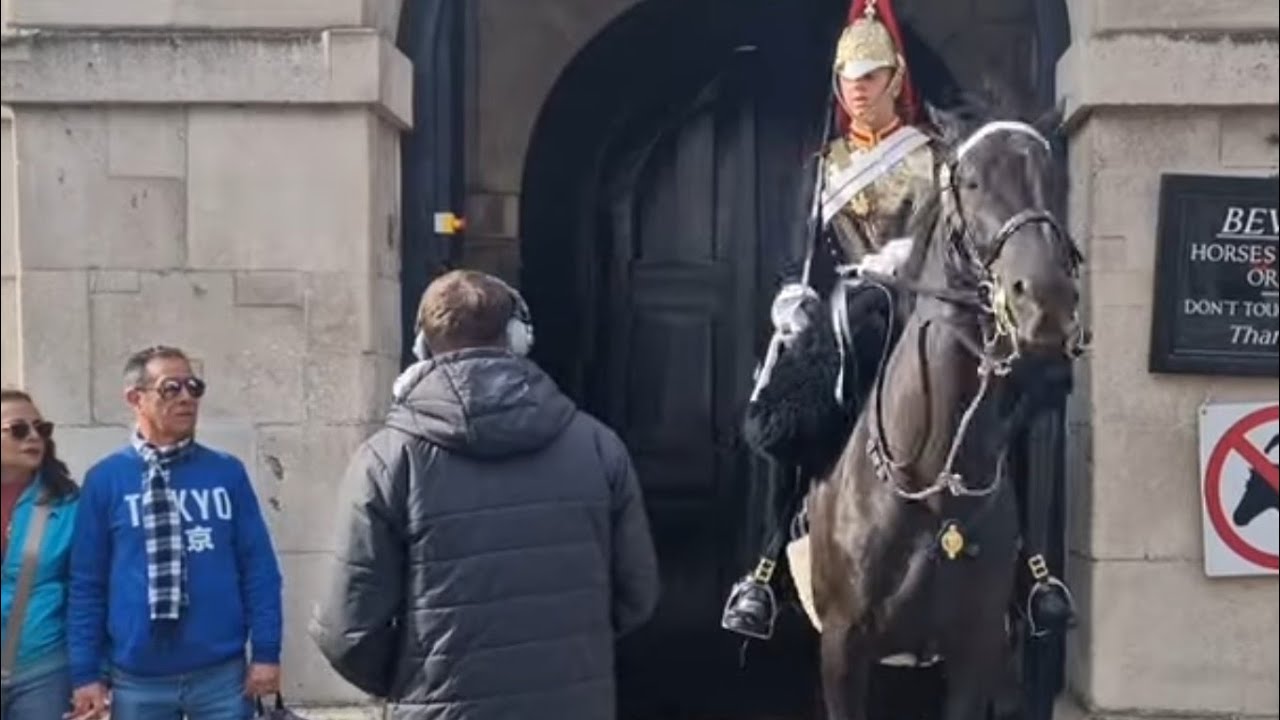 Acting strange around the horse staring at the guard horse freaks out #horseguard