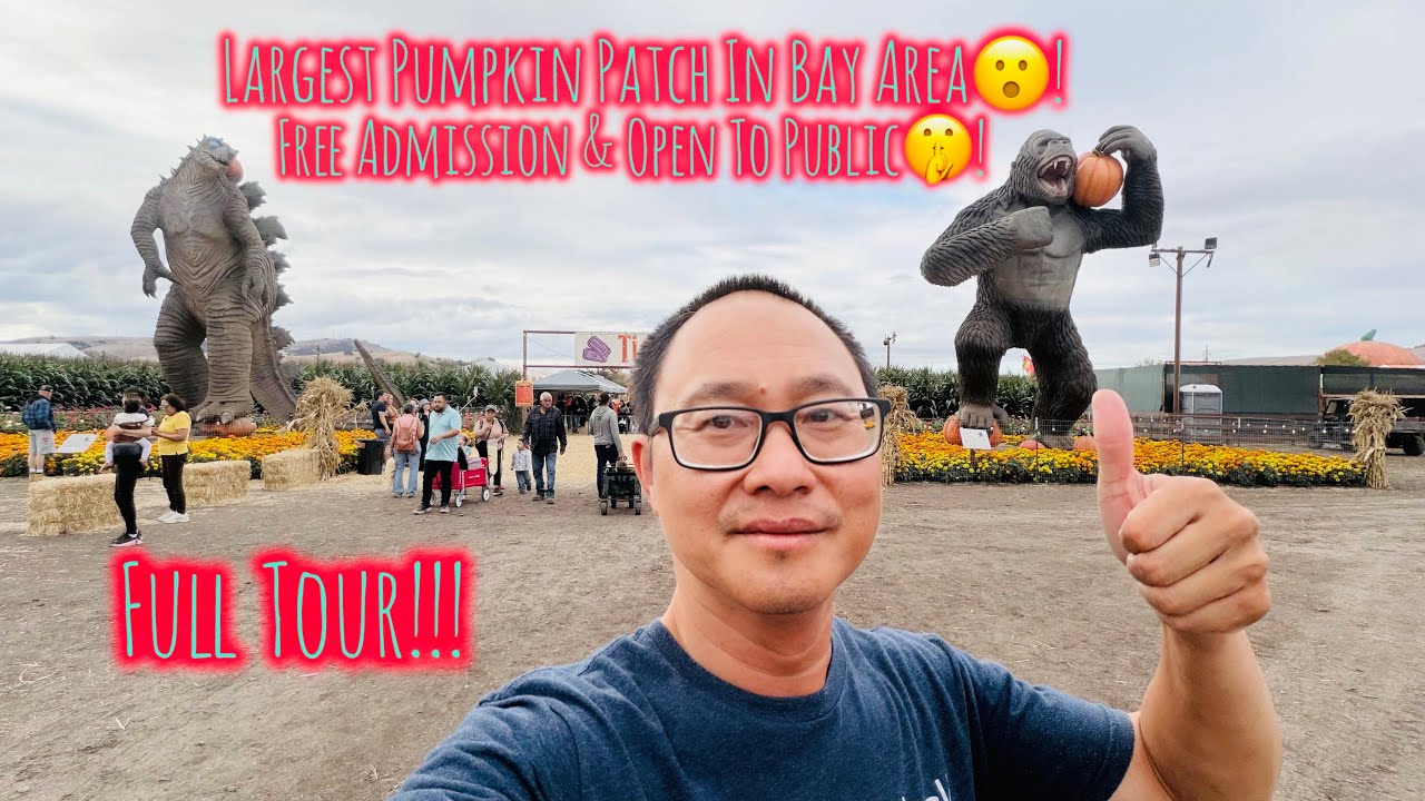 TOURING SUPER VIRAL PUMPKIN PATCH IN THE BAY AREA @ SPINA FARMS PUMPKIN PATCH IN MORGAN HILL CA!