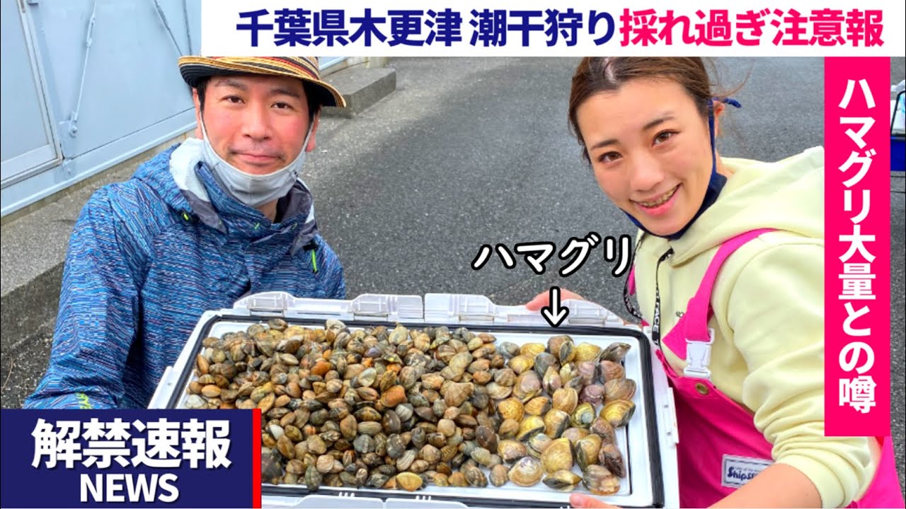 【潮干狩り解禁】蛤大漁‼︎木更津海岸中の島公園で潮干狩り‼︎アサリ・ハマグリ規定キロ数攻略法