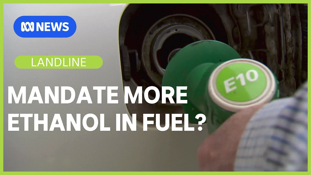 Fields of Fuel: Should we mandate more ethanol from sugarcane? | Landline | ABC NEWS