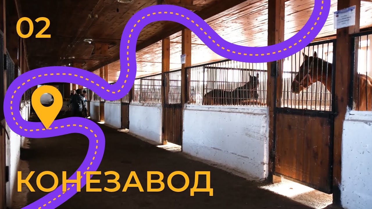 Конезавод. Как туркменские кони из казахских степей покорили мир?