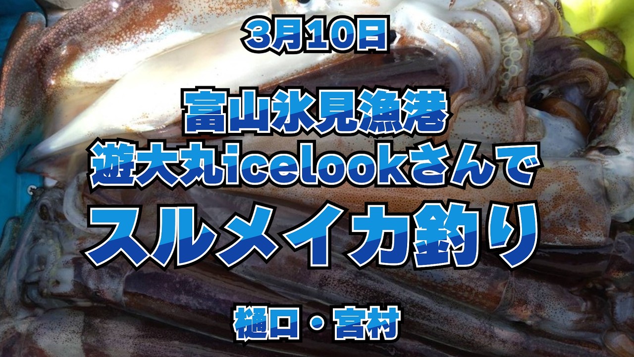 3 10 富山氷見漁港遊大丸icelookさんでスルメイカ釣り