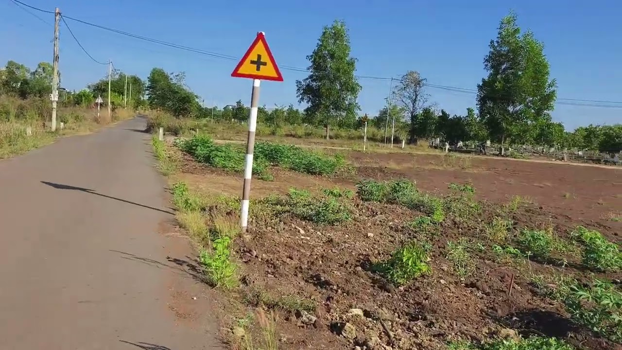Đi thăm vườn cây đá bạc châu đức