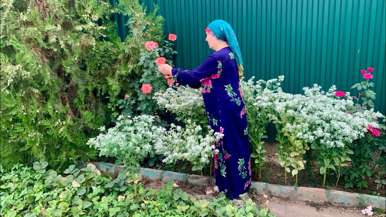 Покажу все свои дорожки и цветы🌹🌷