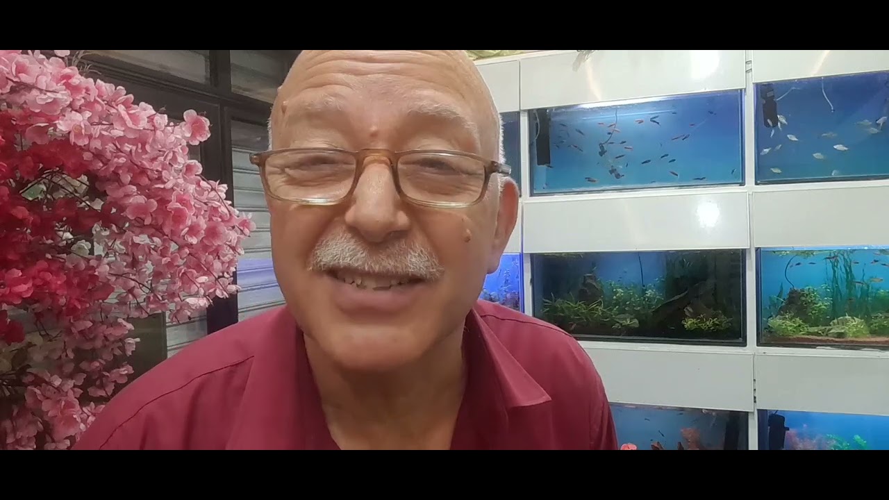 برنامج هذا المساء        ليه اسماكك بتموت عوامل الاجهاد              ١     الكلور