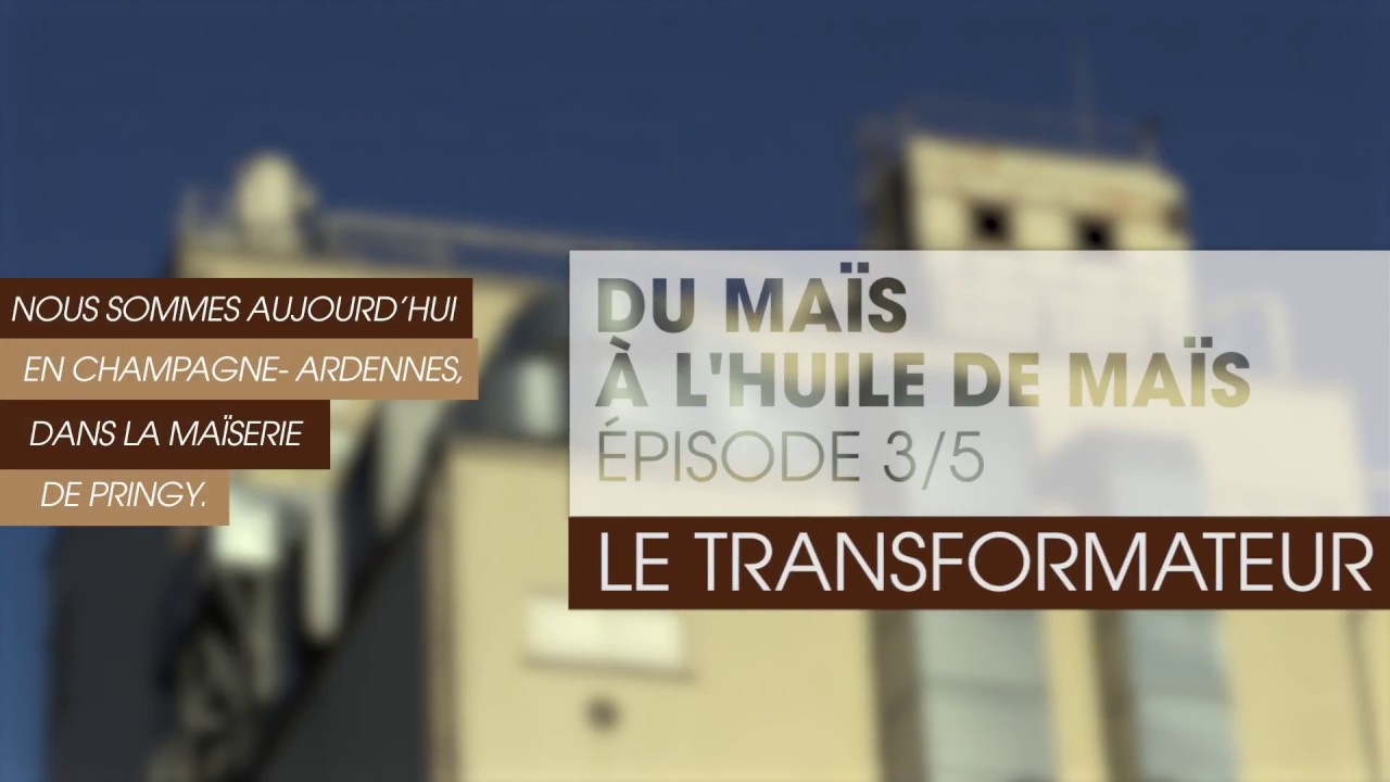 [Au Fil du Grain] Du ma&iuml;s &agrave; l'huile de germe de ma&iuml;s : le transformateur | Les C&eacute;r&eacute;ales