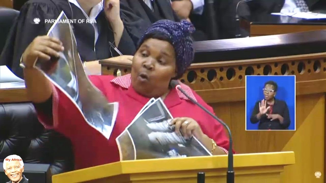FUNNY. EFF vs Minister Of Water And Sanitation