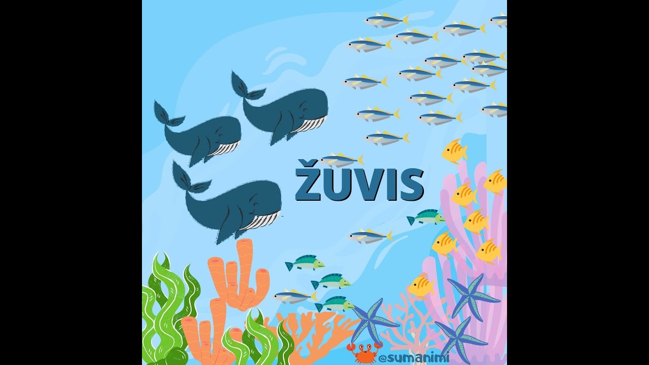 Žuvis🐠🐟. 