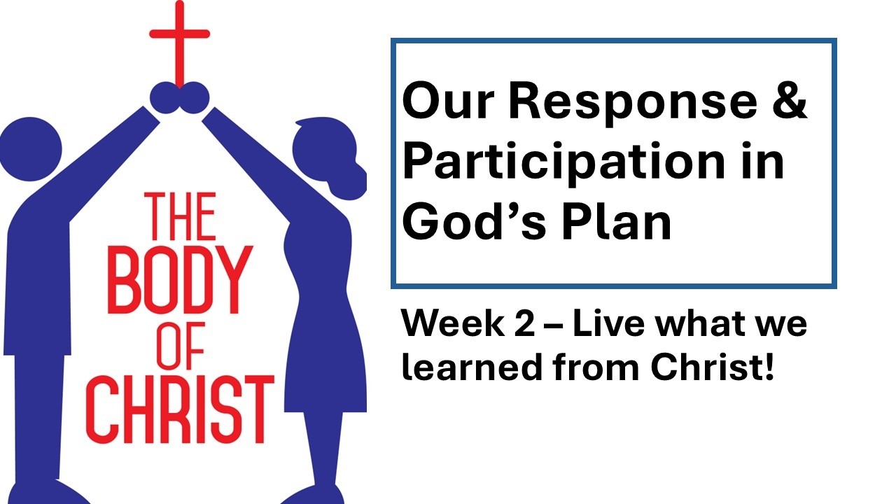 Our Response & Participation in God's Plan - Week 2