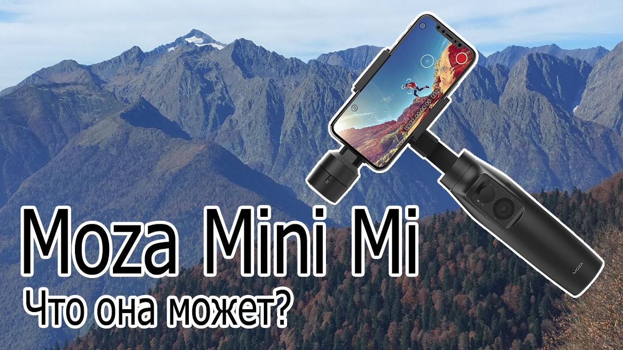 Moza Mini Mi - обзор. Калибровка. Инструкция. Что это такое и с чем ее едят?