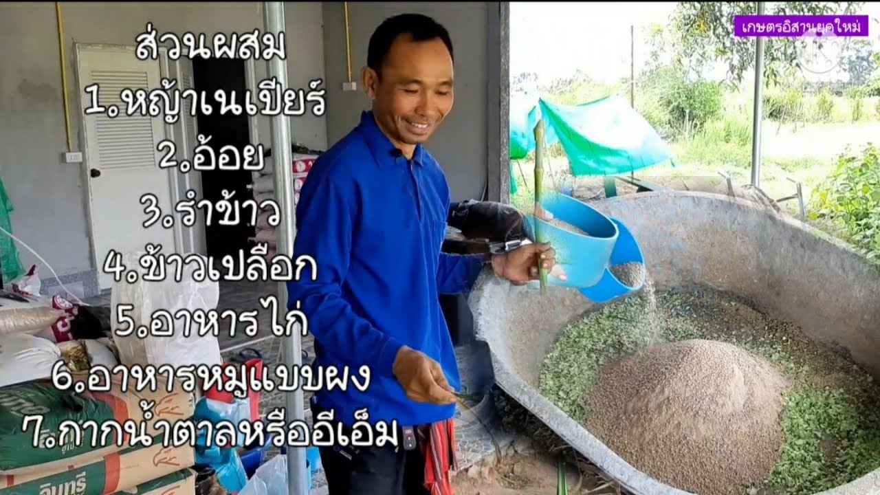 สูตรทำอาหารเป็ดอาหารไก่!!แบบลดต้นทุนแต่มีคุณภาพ