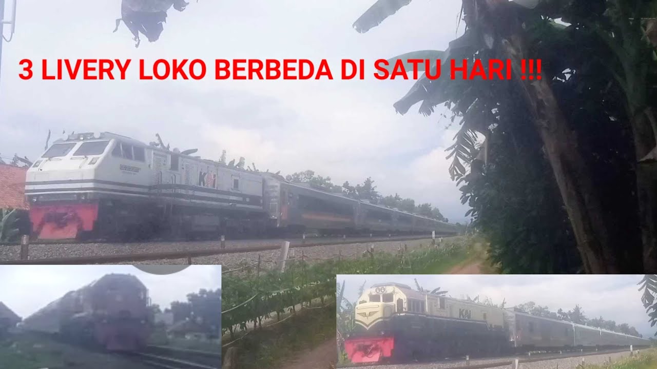 3 LIVERY LOKOMOTIF DI WAKTU DEKAT TIDAK LEBIH DARI 1 JAM
