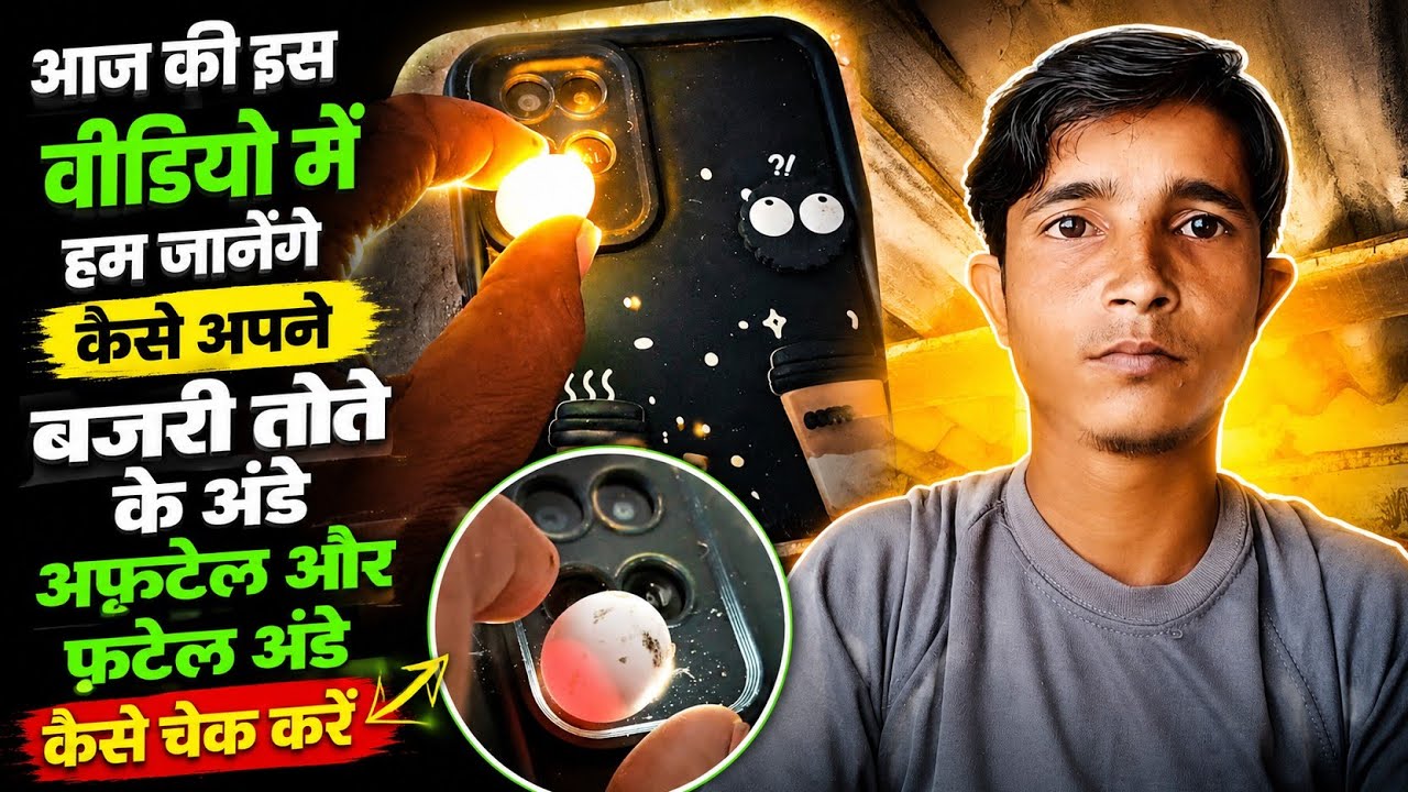 आज की इस वीडियो में हम जानेंगे कैसे बजरी तोते के अंडे अंफटेल और फटेल कैसे पहचाने ll Lucknow Video 