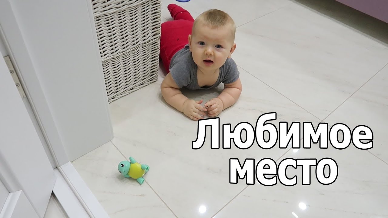 VLOG: Вовино любимое место в доме / Весь дом в муравьях!!!Спасите!