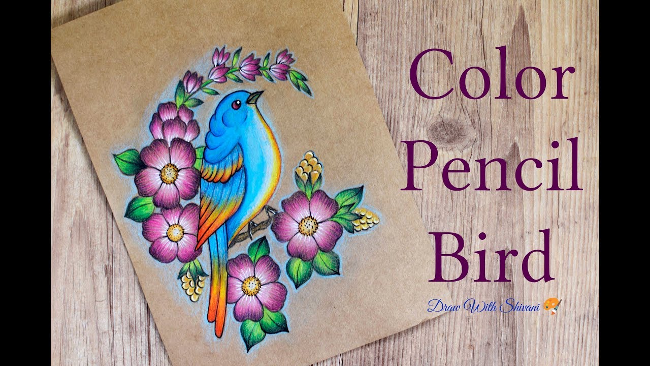 Color Pencil Bird Drawing/ Pencil Shading Flowers and Bird
