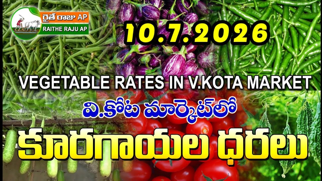 #AMC V.KOTA TODAY BEANS PRICE IN MARKET #ALL VEGETABLE PRICES #marigold 