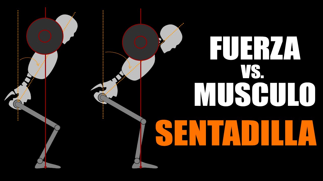 EN BUSCA DE LA FUERZA | SENTADILLA para fuerza vs. para musculo (EP5)