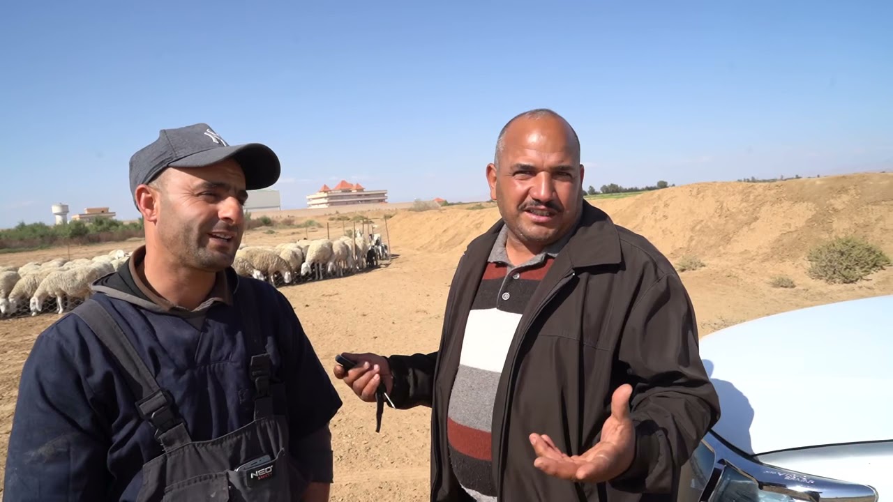 مشروع استثماري