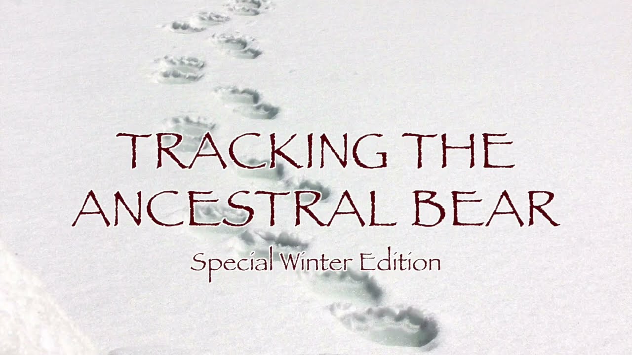 Tracking the Ancestral Bear: Ullr & Iron-Age Bear Rites in the Story of Volund