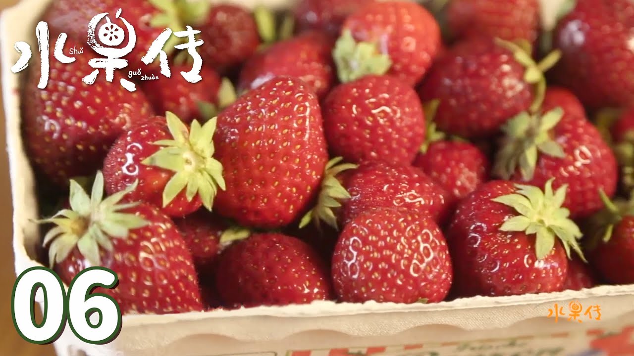 【水果传】第6集：诱惑&mdash;&mdash;缤纷的水果，让人与动物无法抵挡 | Legend of Fruit | 腾讯视频 - 纪录片