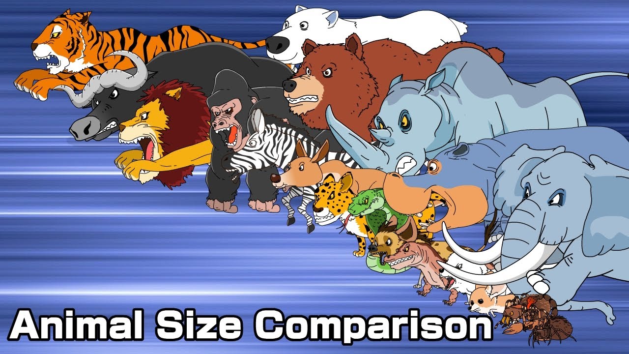 Animal Size Comparison 동물 크기 비교 #animation #dinosaur #gaming #animals
