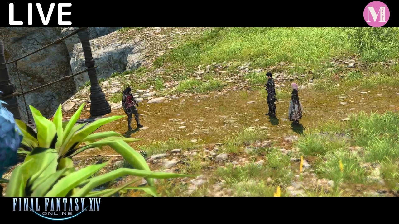 [FF14] 忍者レベル上げとかやり忘れとか(2026/03/16)
