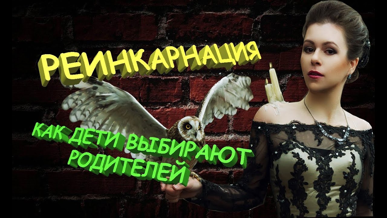 Реинкарнация. Как дети выбирают родителей