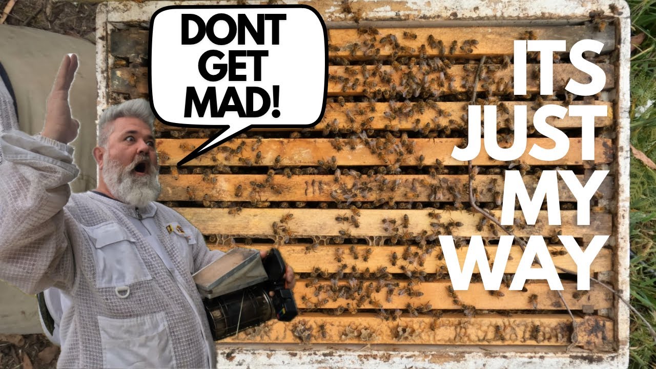 Just Because I Do It Doesn't Mean Its Right! Checker Boarding the Brood Nest! Part 4/8